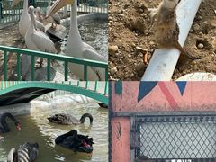 -水上乐园·欢乐世界