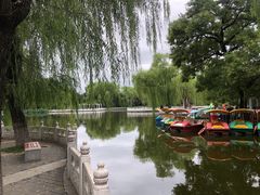 -丰台花园