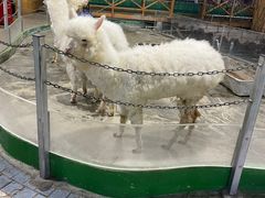 -上海大自然野生昆虫馆(东方明珠·爬宠昆虫探索中心)