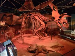 -正佳自然科学博物馆