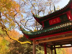 -壹盏灯(惠农店)