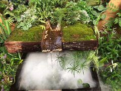 -深圳仙湖植物园