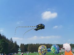 -黄海国家森林公园