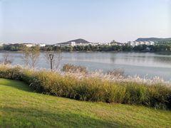 -羊山湖公园