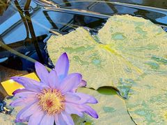 -北京植物园-展览温室