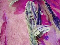 -醉小酒馆·川菜·江湖菜·重庆菜(观音桥旗舰店)