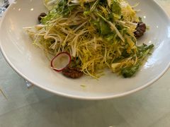 拌苦菊-碧丽宫大酒店(召稼楼店)