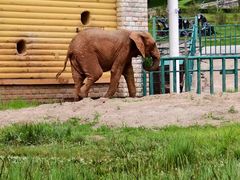 -哈尔滨北方森林动物园
