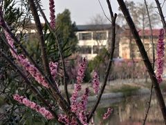 -青龙山国家森林公园