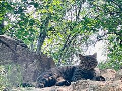 -终南山南五台景区