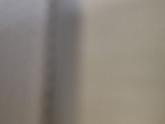 -圣廷苑酒店-世纪楼菲苑自助餐厅