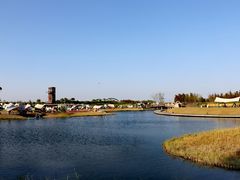 -春花秋色城市公园