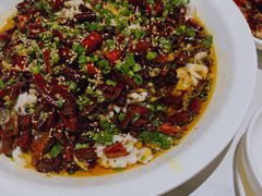 -三猫黑鱼花(南大店)