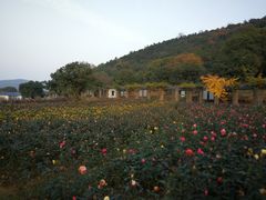 -龙寺生态园