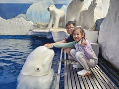 -秦皇岛乐岛海洋王国