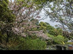 -成都南湖公园