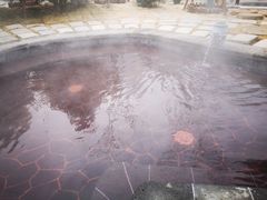 -白桦林温泉谷