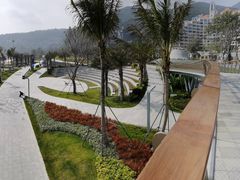 -大梅沙海滨公园