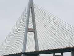 -西堤公园