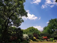 -上海醉白池公园