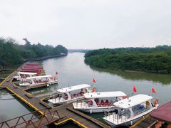 -东寨港红树林旅游区