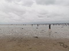 -南汇嘴观海公园