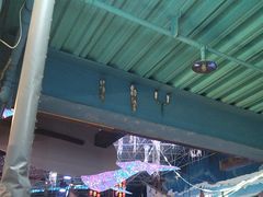 -海合安青岛极地海洋公园