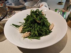 辣木苗鲜桃仁-悦融琥珀·京鲁菜·海味珍品(西单店)