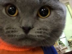 -Pets First伊珊娜洗护·精致美容·家庭式寄养(新会路店)