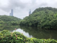 -观山湖公园