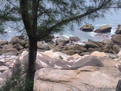 -广东惠东海龟国家级自然保护区