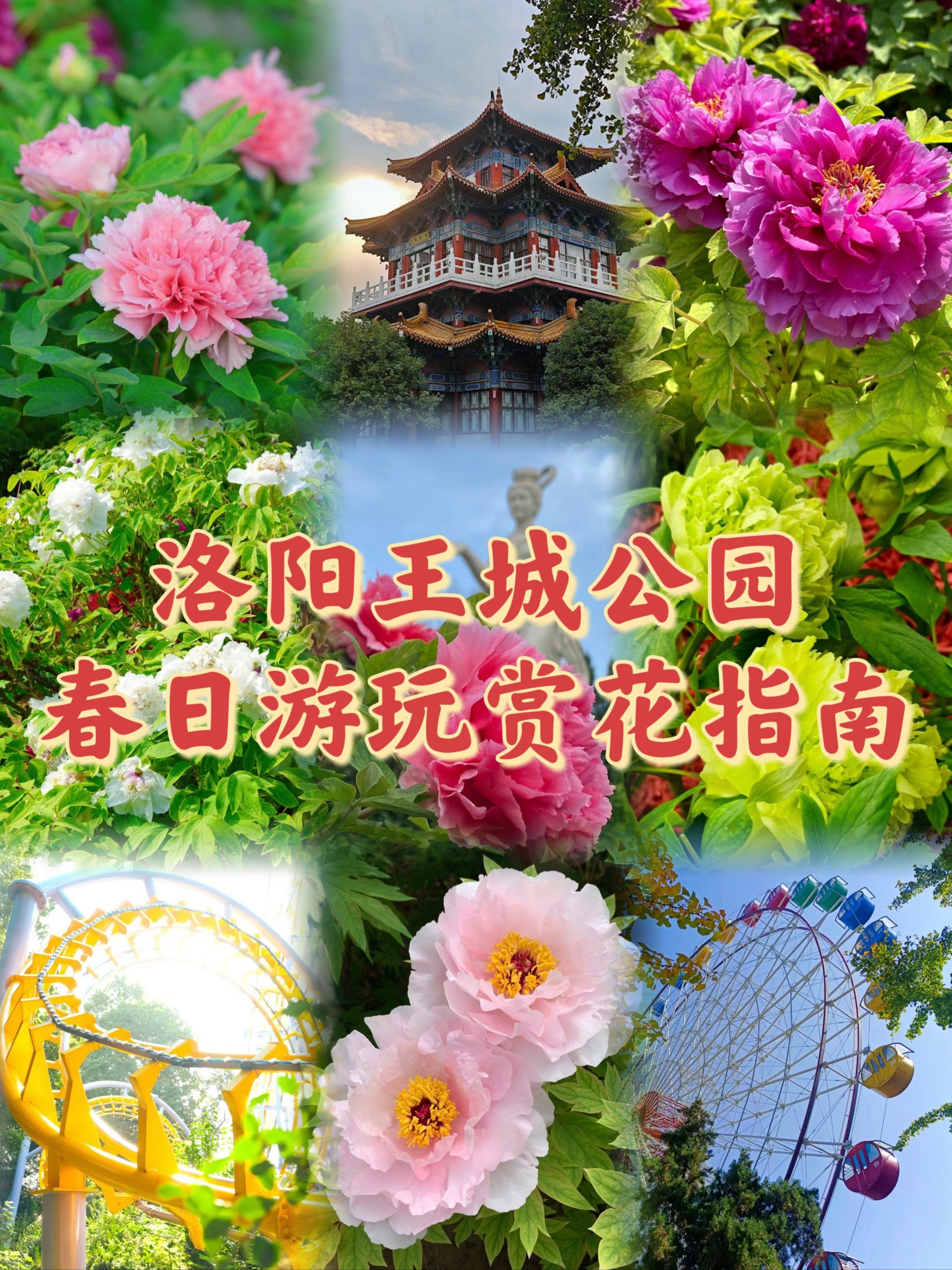 洛阳王城公园97春日游玩赏花指南6015