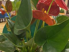 -杭州香格里拉·香宫中餐厅