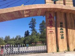 -五营红松林海景区