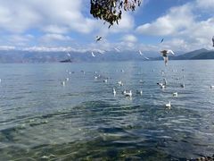 -丽江泸沽湖景区