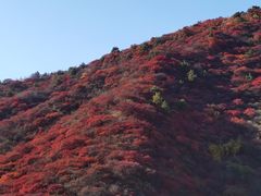 -水峪民俗村