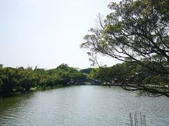 -江心屿景区