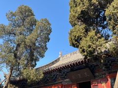-洛阳白马寺