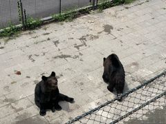 -大连森林动物园