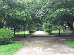 -中山大学学者灵芝(园南路店)