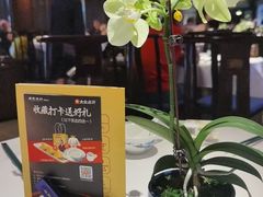 -顺德渔村(华侨城店)