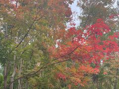 -长春市南湖公园