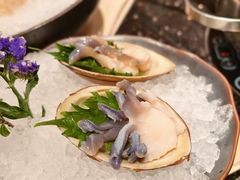 -協成海鮮火鍋(老店)