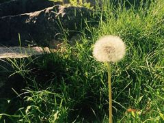 -北京宽沟会议中心