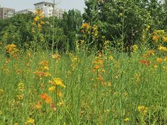 -BHG生活超市(安贞店)