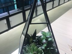 -Trend1881视光·蔡司视觉(领展广场店)
