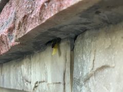-火炉山森林公园