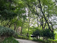 -杭州半山国家森林公园