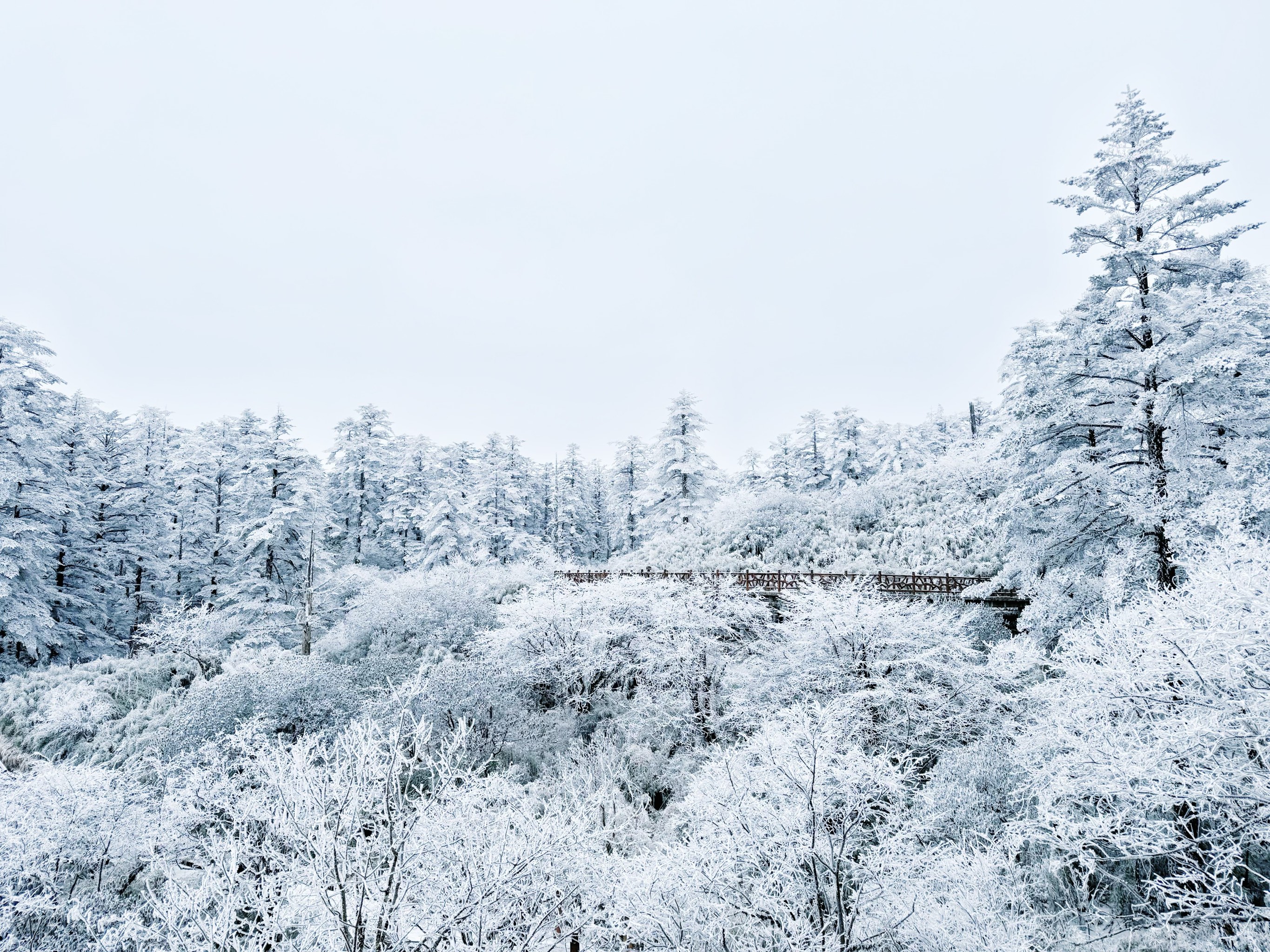 四川玩雪旅游景点图片