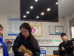 -伟伟宠物医院·瑞派猫友好医院·猫科(光谷店)